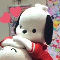 あやち ♥︎お取引(bio欄ご覧ください。お手渡し固定参照してください。 (@trhk_a94) 's Twitter Profile