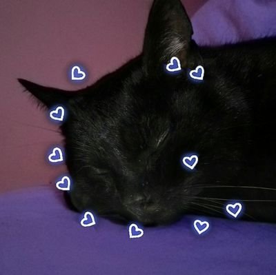 l3anord's profile picture. 