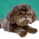 Denise Rossiter - @NiseyRoss - Twitter