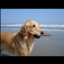 Karen Pascal - @SandBtweentoes - Twitter