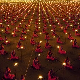 cee_dz's profile picture. 