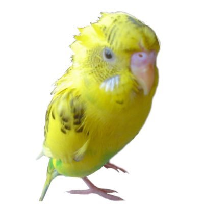 朝比奈ゆうやさんのプロフィール画像