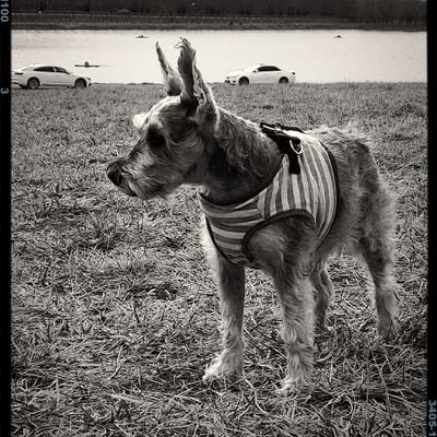 Beijing_Hot's profile picture. 整理生活. 恢复跑步. 减少抑郁.