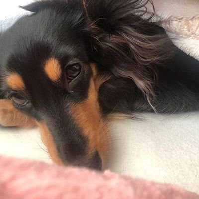 相互フォロー支援します！！ロック時以外は必ずフォロバします☺️