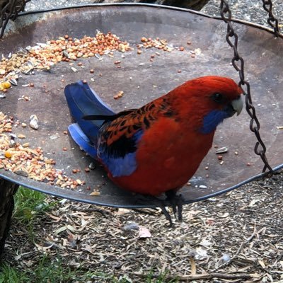 Moes3Moes's profile picture. 