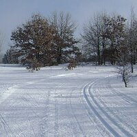 Carson (@carsonhoeft) 's Twitter Profile