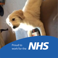 Dr David Manley (@rabbitpearls) 's Twitter Profile Photo Dr David Manley (@rabbitpearls) 's Twitter Profile Photo