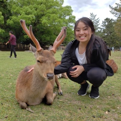 xCSantoss's profile picture. 