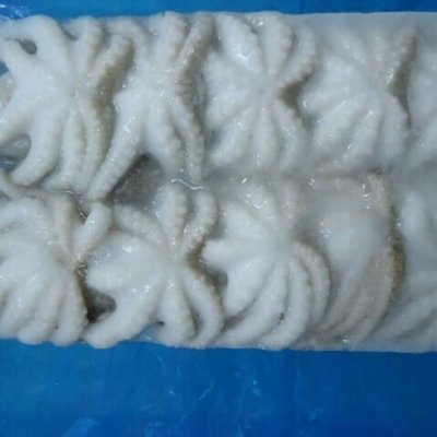 We are manufacture in Vietnam and mainly
supply black tiger, vannamei and baby cuttlefish.