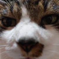 エリそら😸 (@na3nu2itgfje2sj) Twitter profile photo