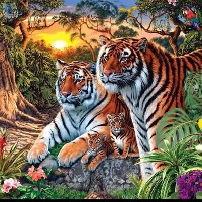 asocovi's profile picture. 