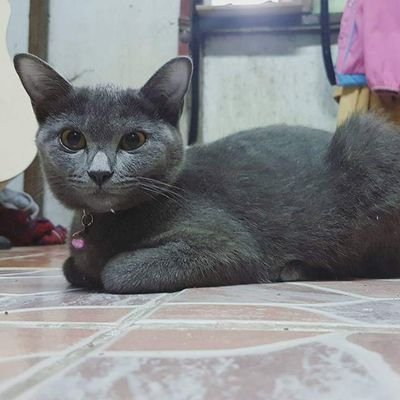 chijar3's profile picture. 😊😊😊😊