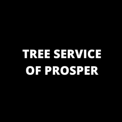 Tree Removal, Trimming, Pruning & More!!!