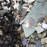@ballydehob_Hub (@ballydehobh) 's Twitter Profile