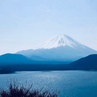 dondododondo's profile picture. あ