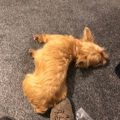 Gavin87365032's profile picture. 