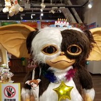 悟《さとる》 (@da3838yo) 's Twitter Profile Photo
