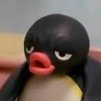 Lord Grumpy Pingu 🇪🇺 #FBPE of #Putincash 🐧 🇺🇦 (@grumpyping) 's Twitter Profile