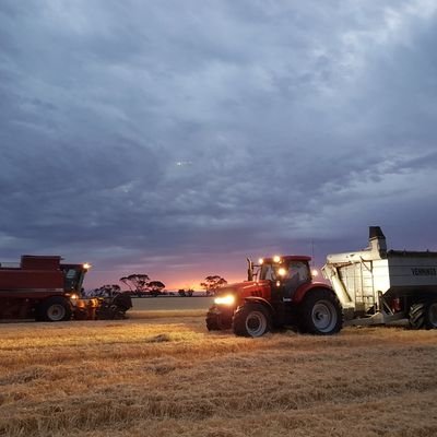 4th generation mixed farmer Married with 2 kids growing wheat barley canola beans oats and vetch also producing prime lambs out of merino and xb ewes