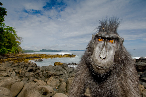 YourPal_Al's profile picture. camping is intense (get it?)