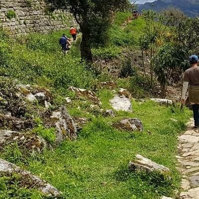 rponcellanos's profile picture. 