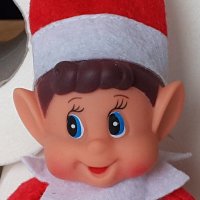 Elves in Lockdown(@elvesinlockdown) 's Twitter Profile Photo