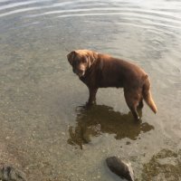 VCrosbie (@victoriacrosbie) 's Twitter Profile
