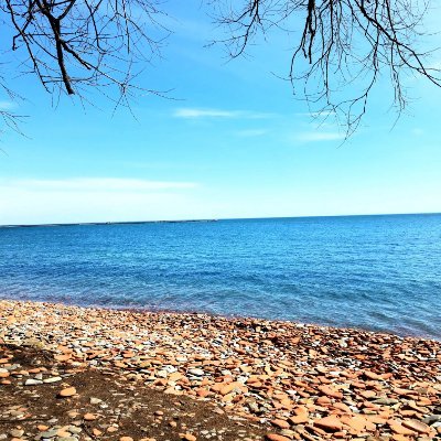 swingtrader2020's profile picture. 