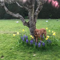 cliona (@cliona_sherwin) 's Twitter Profile