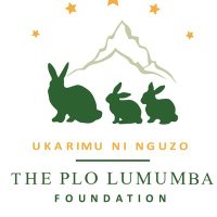 The PLO Lumumba Foundation(@PLO_Foundation) 's Twitter Profile Photo