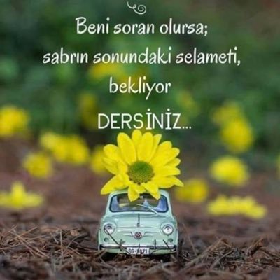 nomean15's profile picture. Hakikat Araştırma