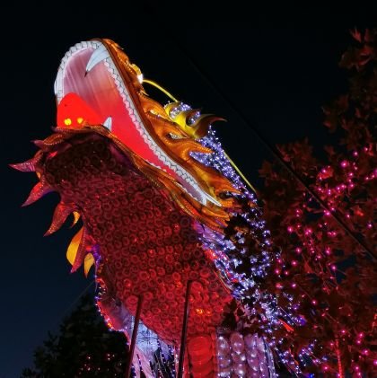 gargola56's profile picture. 