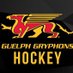 Guelph Gryphons Men's Hockey (@gryphonsmhky) Twitter profile photo