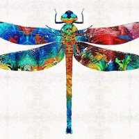 Plethora Of Bliss (@blissplethora) 's Twitter Profile