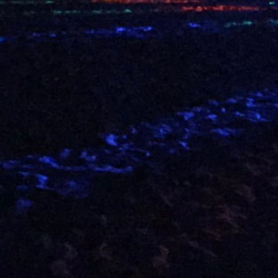 isobolefff's profile picture. ...