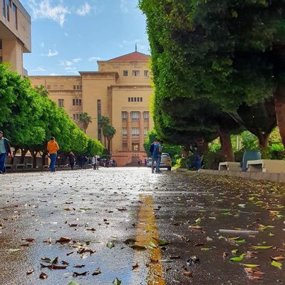 eng_EslamRagab's profile picture. Electrical Engineer
