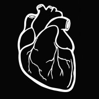 Aórtica (@aorticamx) 's Twitter Profile