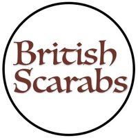 British Scarabs (@bscarabs) 's Twitter Profile Photo British Scarabs (@bscarabs) 's Twitter Profile Photo