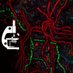 Microbial Ecology Lab 🇺🇾🦉 (@liibce) Twitter profile photo Microbial Ecology Lab 🇺🇾🦉 (@liibce) Twitter profile photo