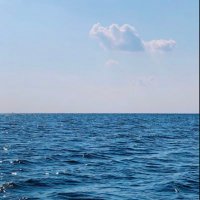 هياء الدهمشي (@haya10199) Twitter profile photo