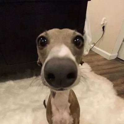 bathroom__art's profile picture. I’d just like something nice