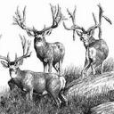 Tony Hendrickson - @huntnmulies - Twitter