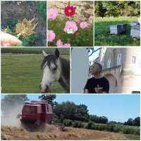 Despraz Felipe (@deprazf) 's Twitter Profile