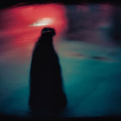 VonMesmer's profile picture. Been lurking on here for some time. Perhaps I should...