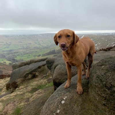 annienowstephen's profile picture. .