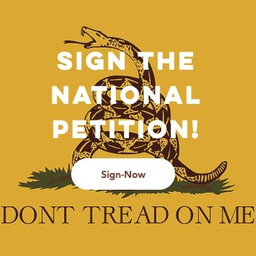 LockdownEnd's profile picture. This is a platform to discuss and promote ending the lockdown restrictions effecting millions of Americans today.  #EndtheLockdown