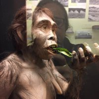 Carmen Luz Parot (@cluzp) 's Twitter Profile Photo Carmen Luz Parot (@cluzp) 's Twitter Profile Photo