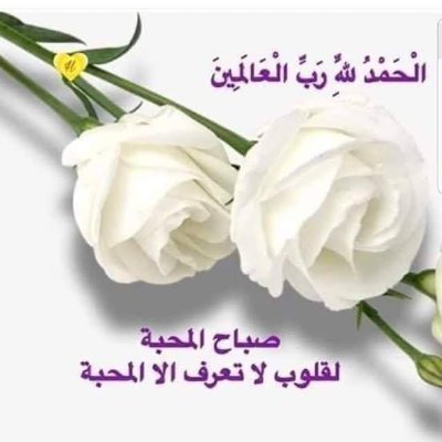 RElfaituri's profile picture. 