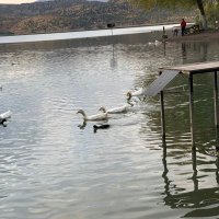 sema (@sema15132846) Twitter profile photo