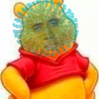 Covid-Santiago (@22lulz22) 's Twitter Profile